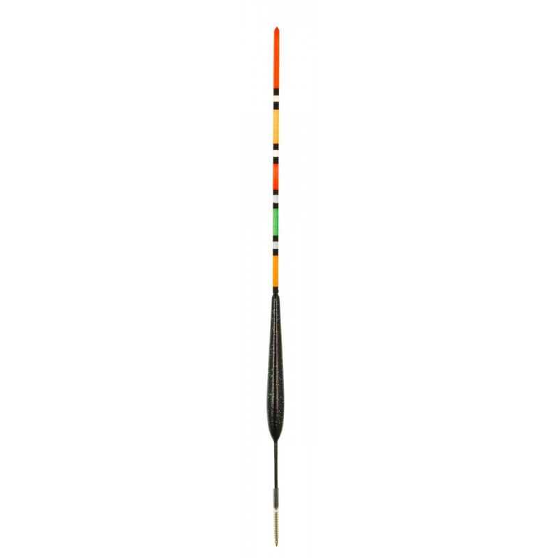 1,00 g