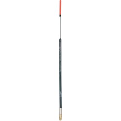 3,00 g