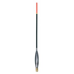 6,00 g