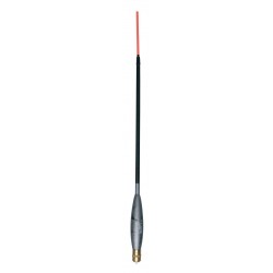 6,00 g