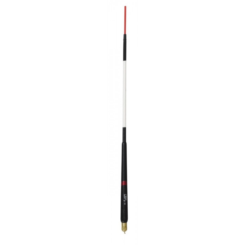 8,00 g