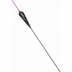 2,00 g
