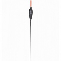 2,00 g