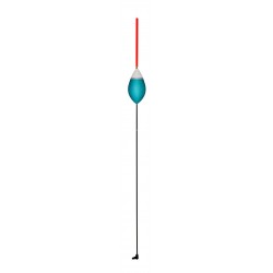 2,00 g