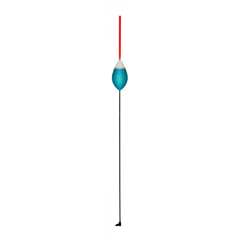 2,00 g