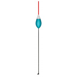 2,00 g