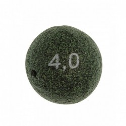 1,00 g