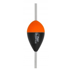 2,00 g