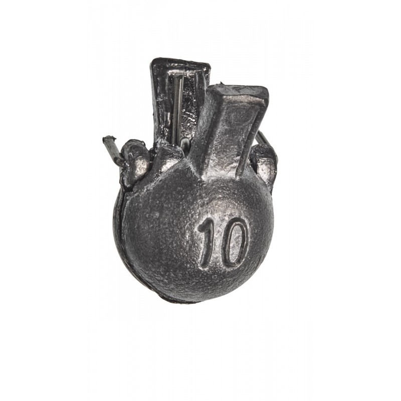 10 g
